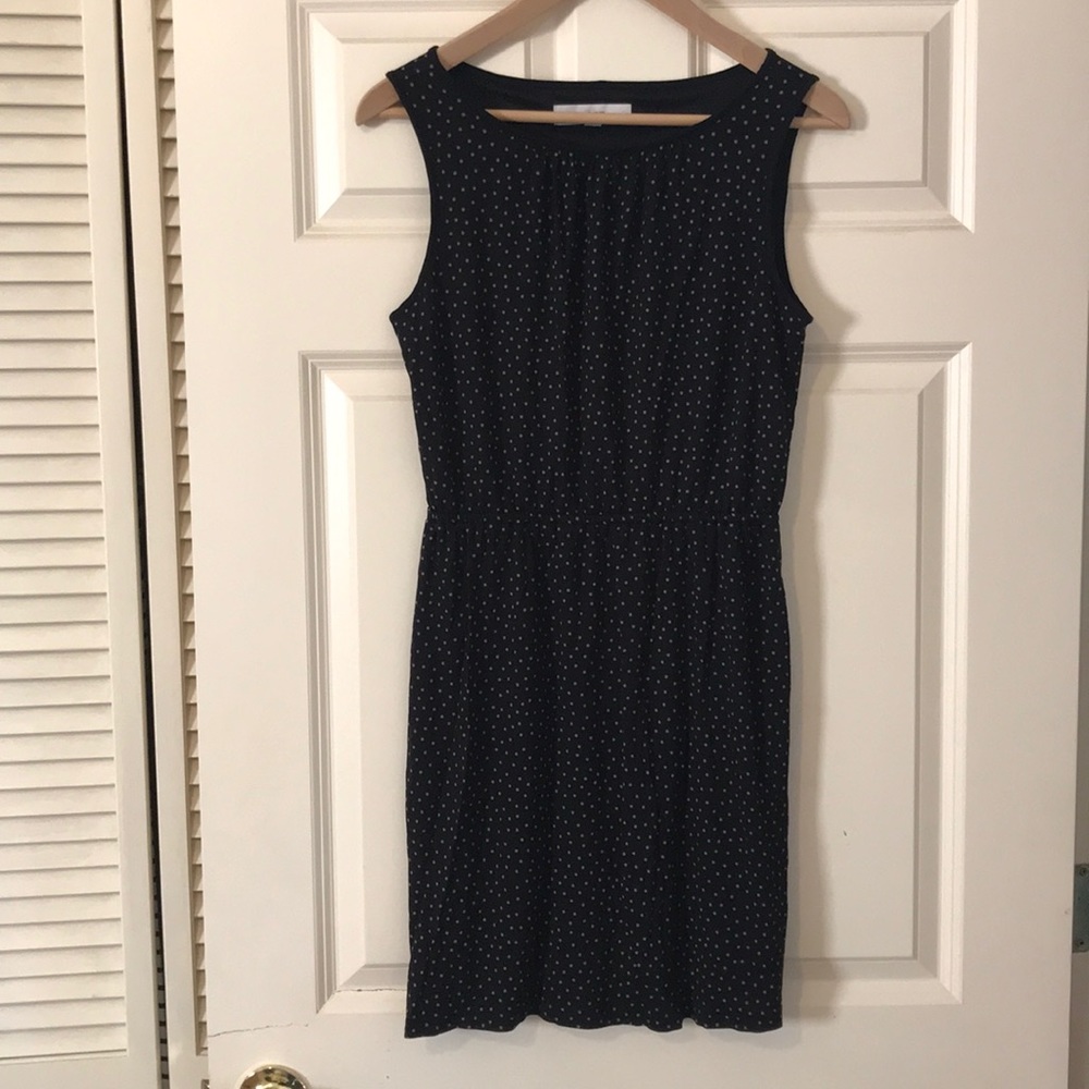 Loft polka dot dress